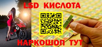 прущие грибы Кунгур